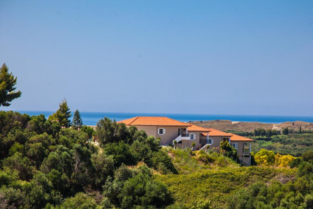 Photo of Others in Paliki