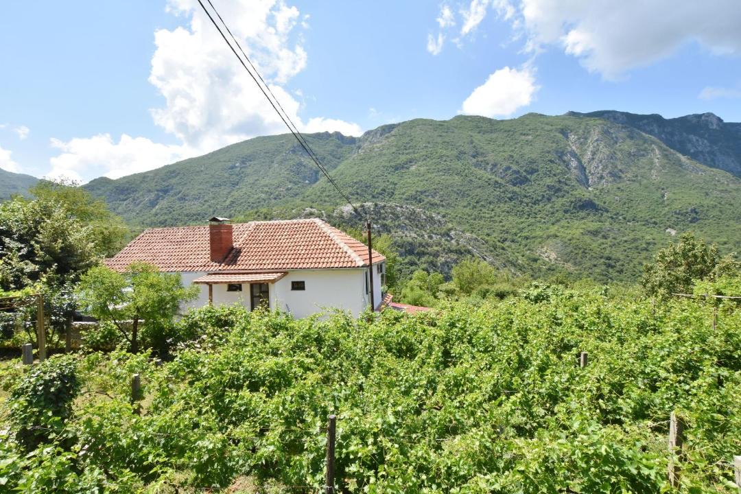 Photo of Others in Limljani