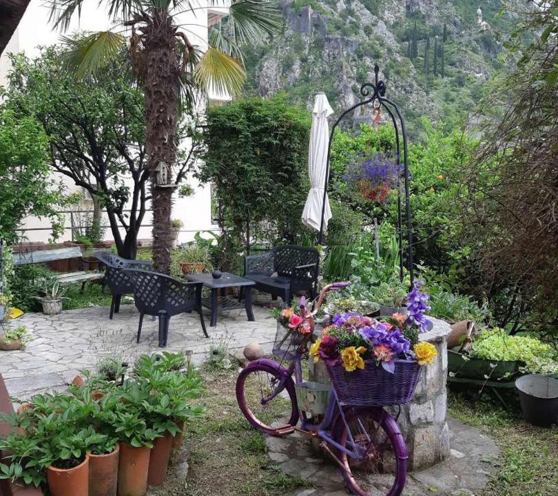 Photo of Others in Kotor