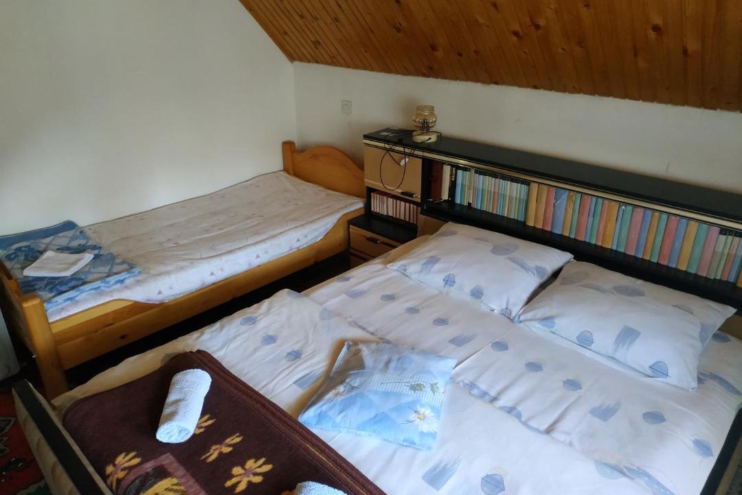 Photo of Others in Zabljak