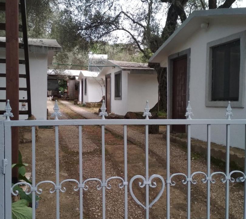 Photo of Others in Utjeha