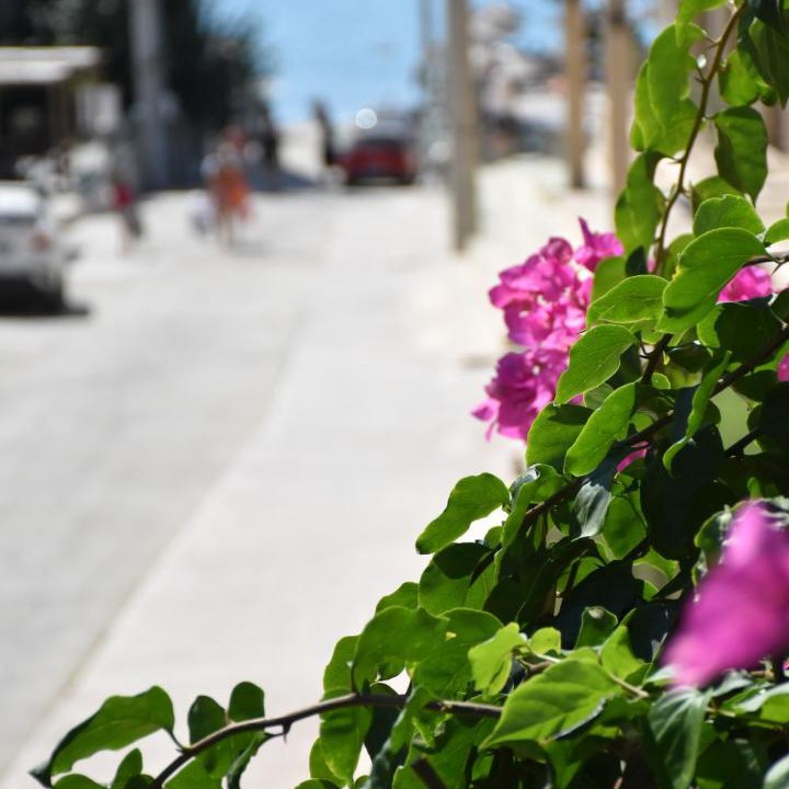 Photo of Others in Laganas