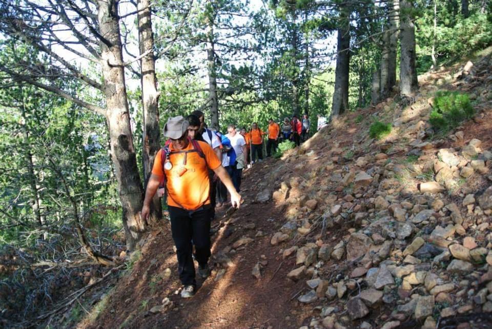 Photo of Others in Grabove