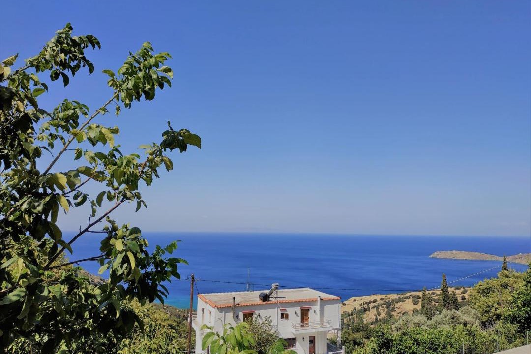 Photo of Others in Andros