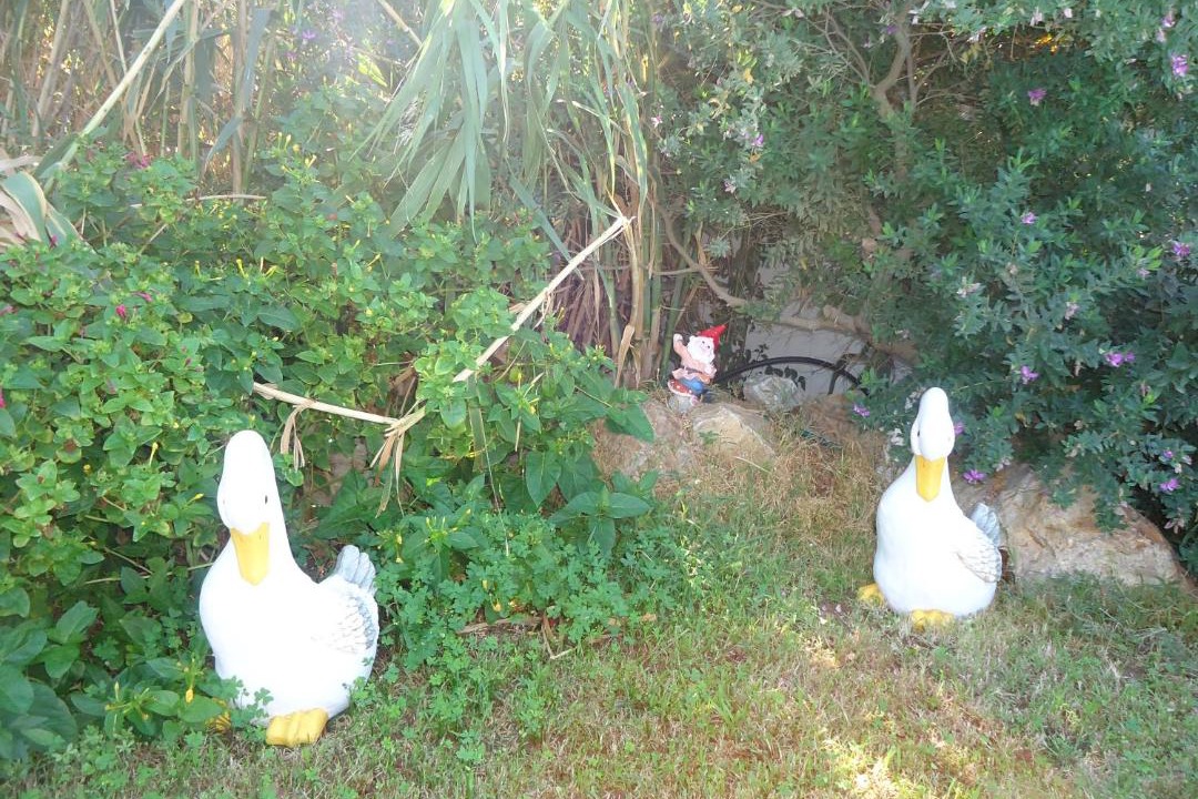 Photo of Others in Agios Prokopios