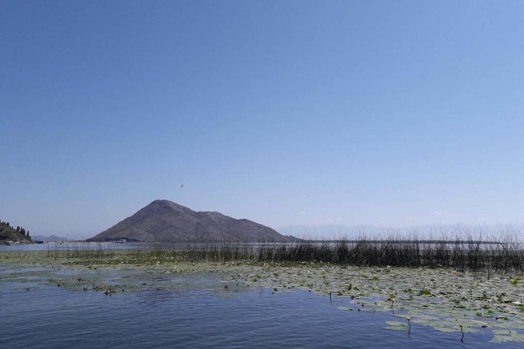 Photo of Outdoor in Virpazar