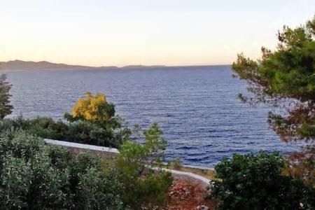 Photo of Others in Hydra