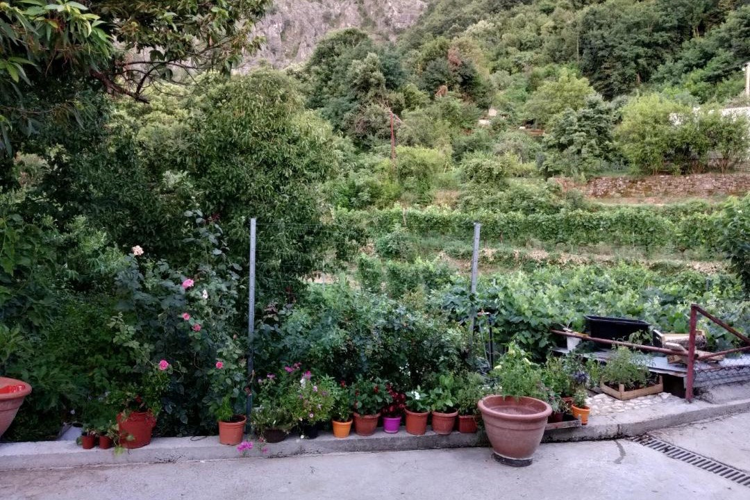 Photo of Others in Virpazar