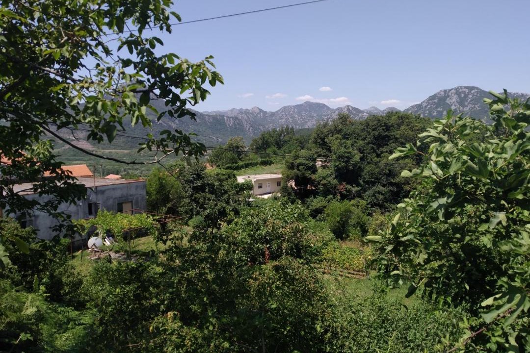 Photo of Others in Virpazar