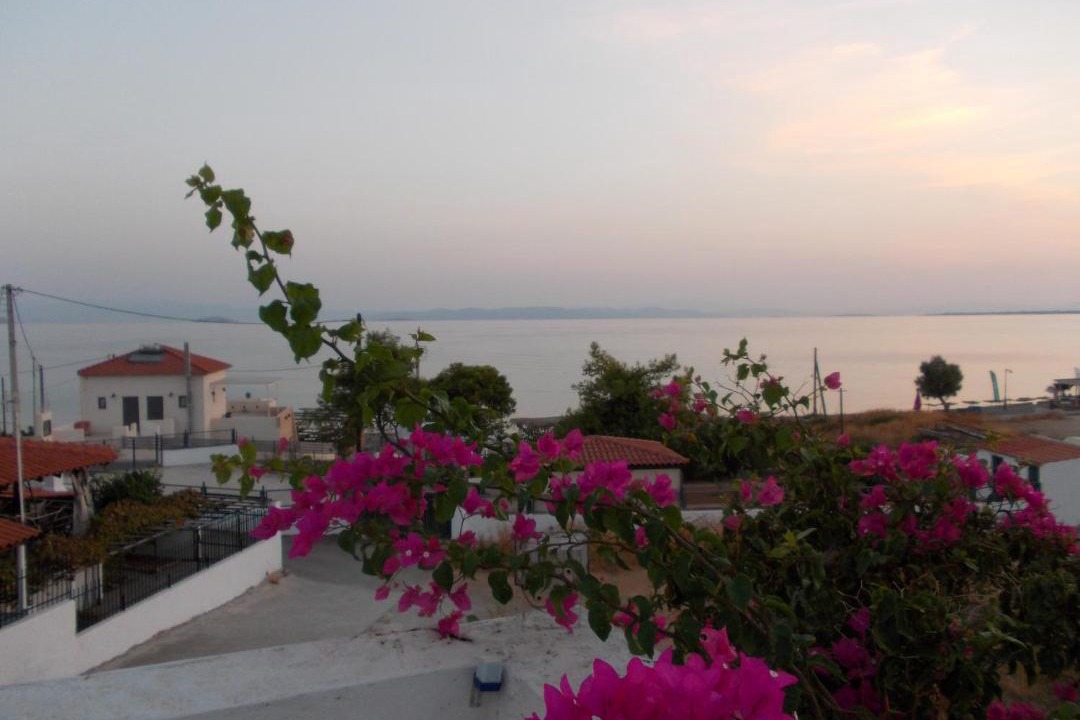 Photo of Others in Milos