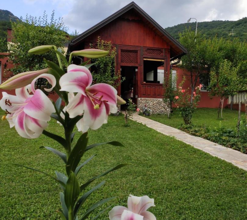 Photo of Buildings in Pluzine