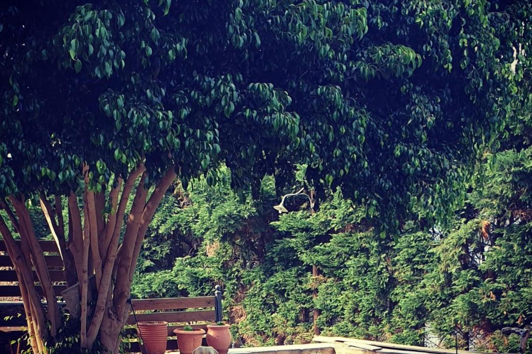 Photo of Others in Monemvasia