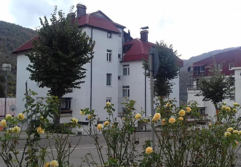 Photo of Buildings in Pluzine