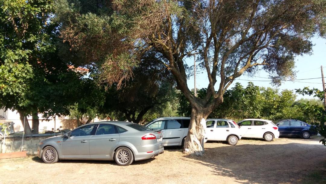 Photo of Others in Paliki