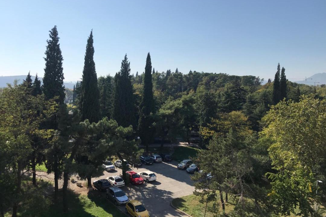 Photo of Others in Podgorica
