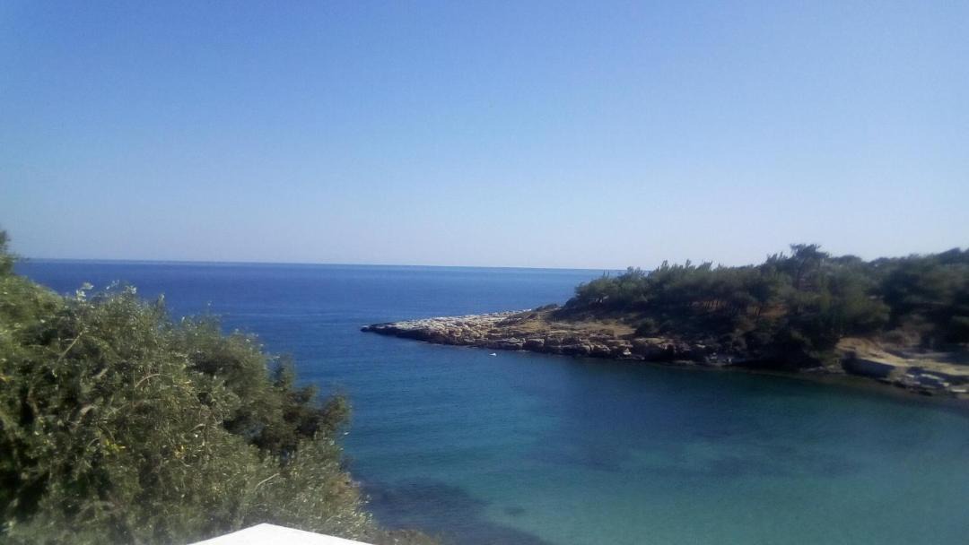 Photo of Others in Aliki