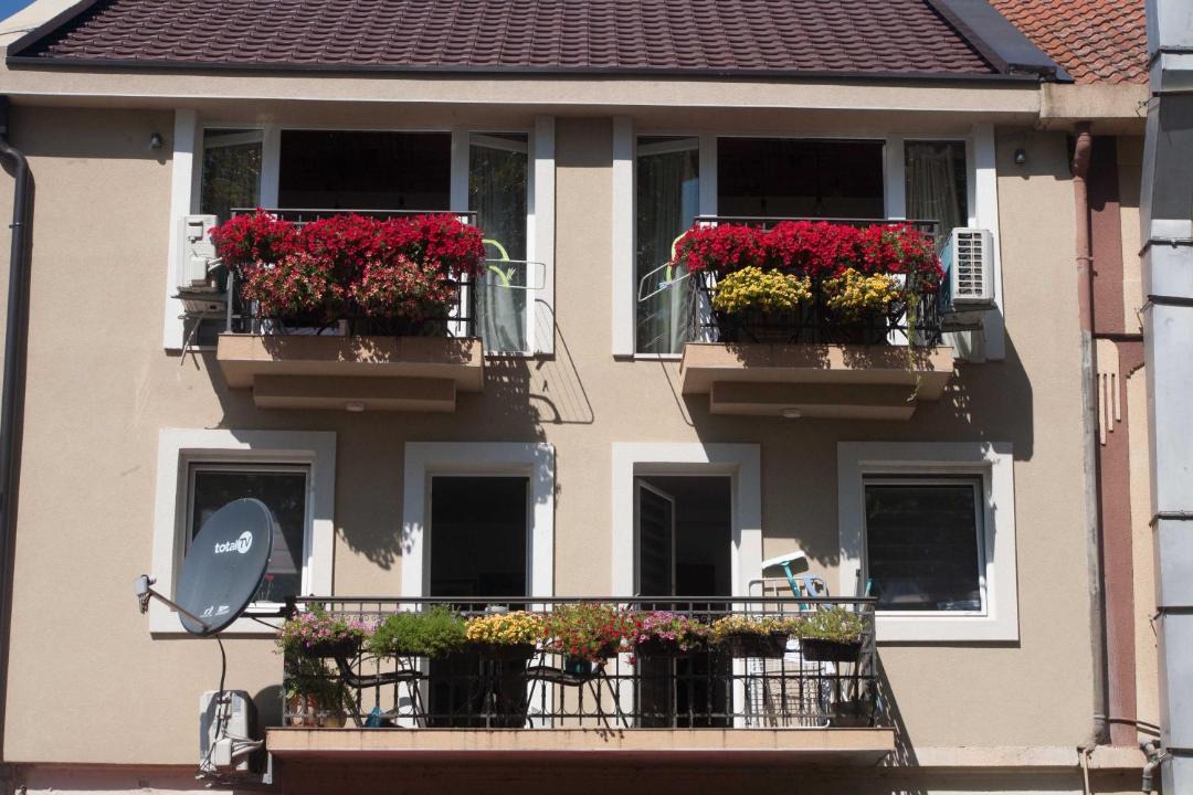 Photo of Buildings in Virpazar