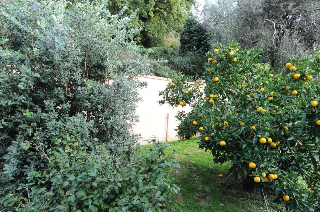Photo of Outdoor in Budva