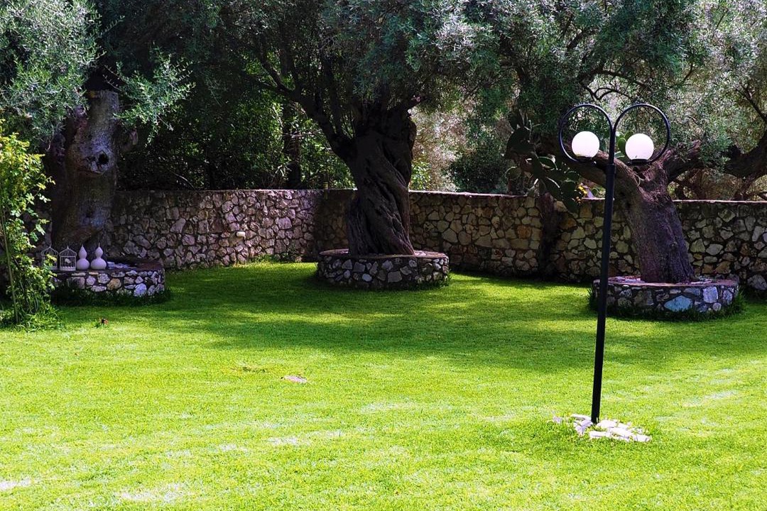 Photo of Others in Dragano