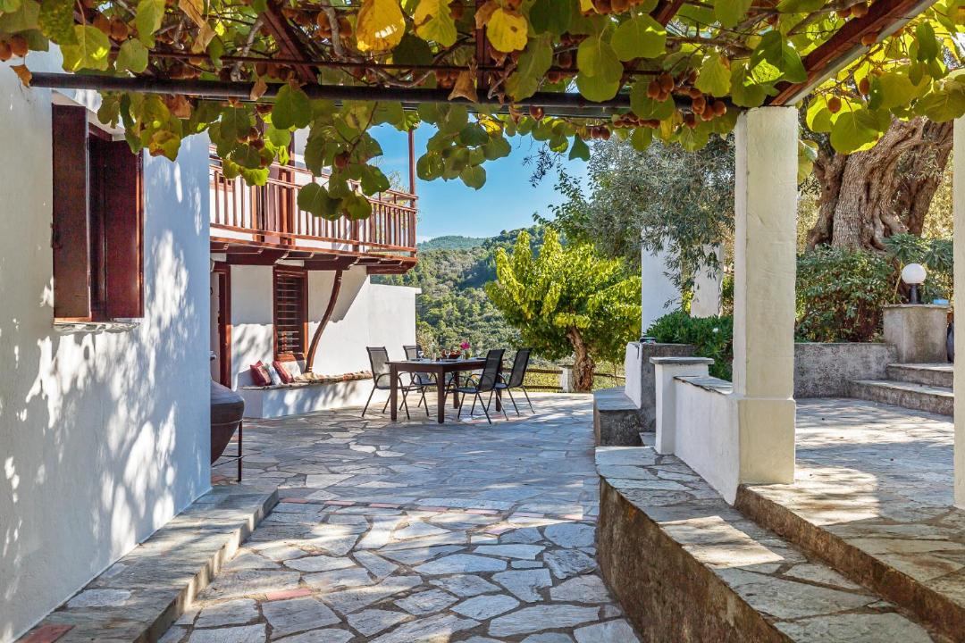 Photo of Others in Skopelos