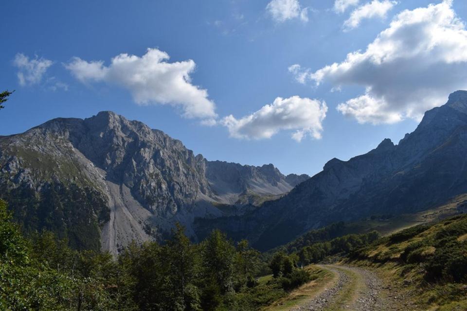 Photo of Others in Montenegro