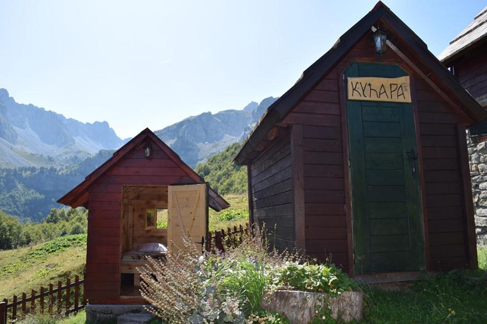 Photo of Others in Montenegro