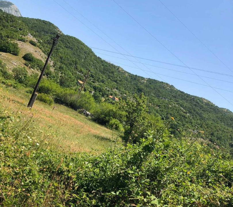 Photo of Outdoor in Krusevice