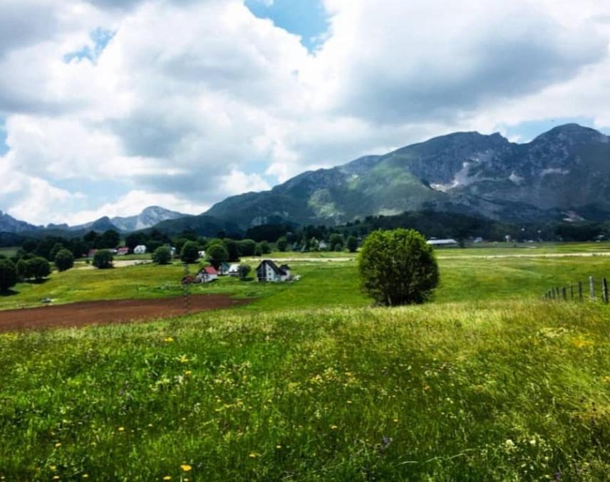 Photo of Others in Zabljak