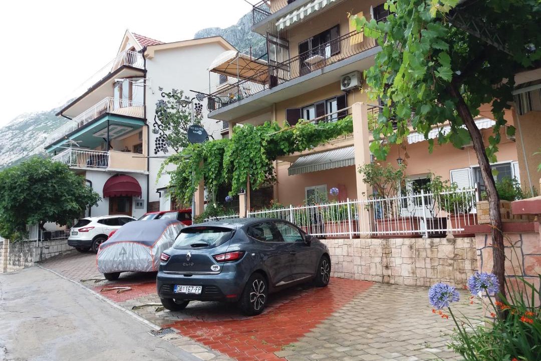 Photo of Others in Kotor