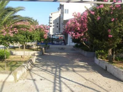 Photo of Others in Sutomore