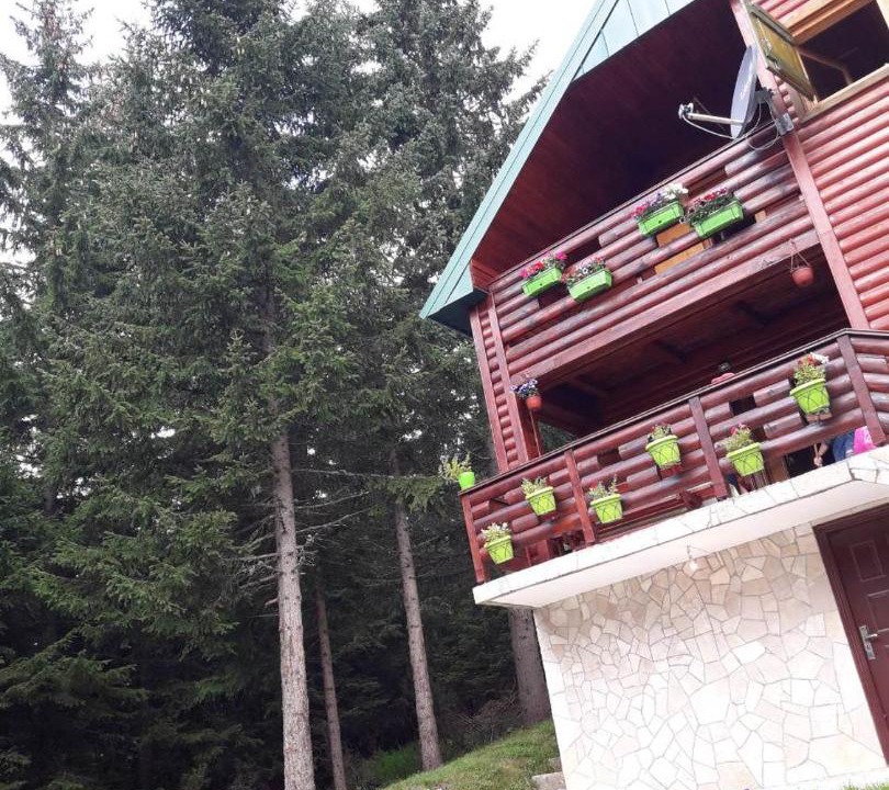 Photo of Others in Zabljak