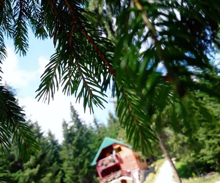 Photo of Others in Zabljak