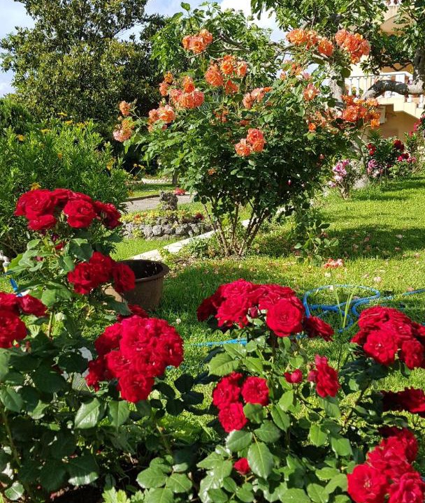 Photo of Outdoor in Mrcevac