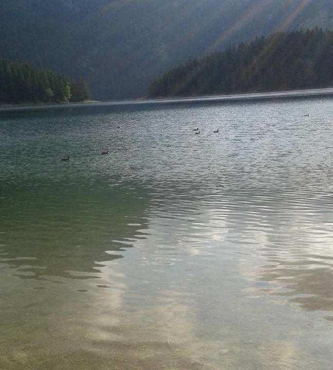 Photo of Others in Zabljak