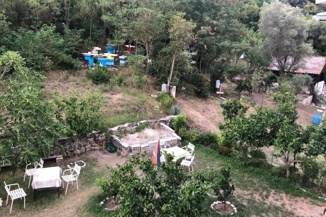 Photo of Others in Bijeli do
