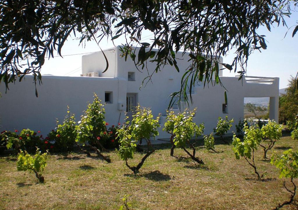 Photo of Others in Paros