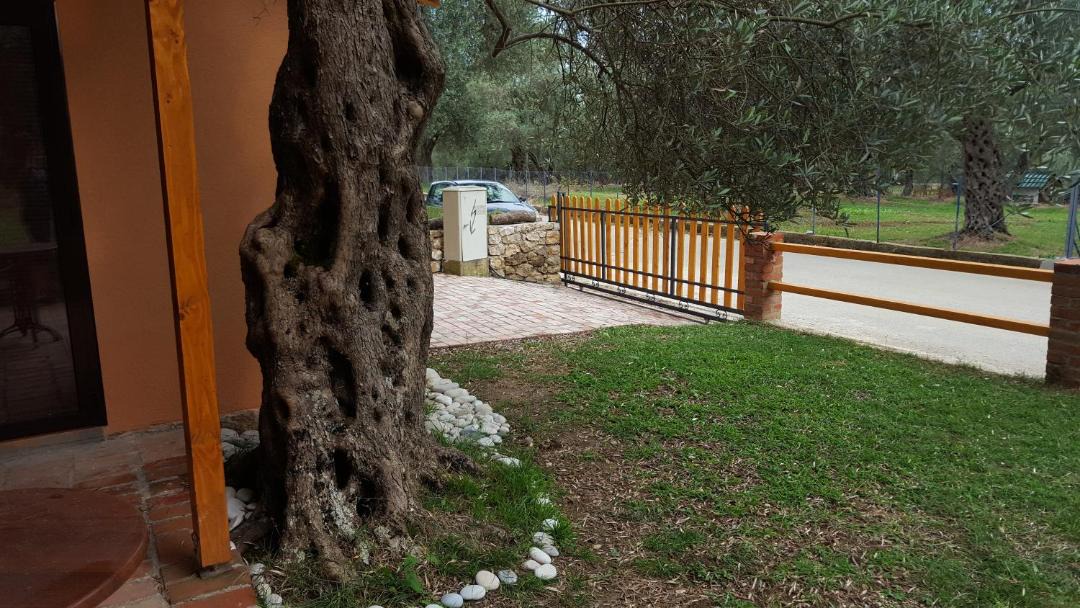 Photo of Others in Ulcinj