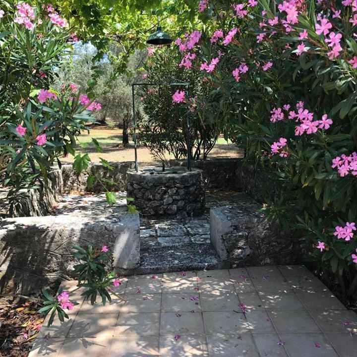 Photo of Others in Leivathos