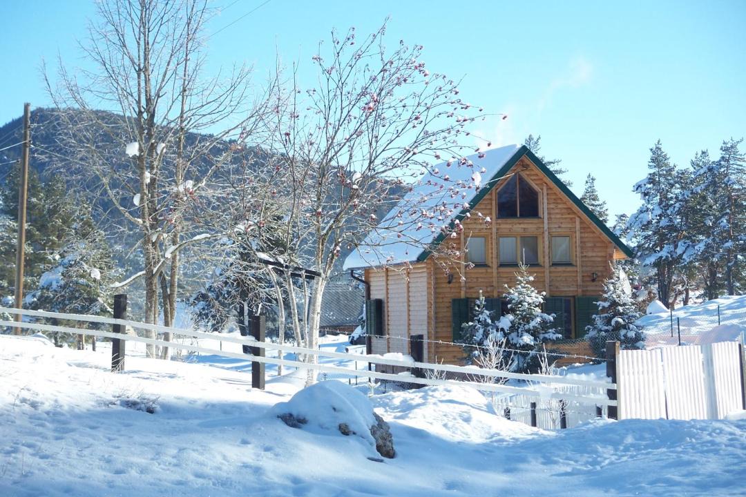 Photo of Others in Zabljak
