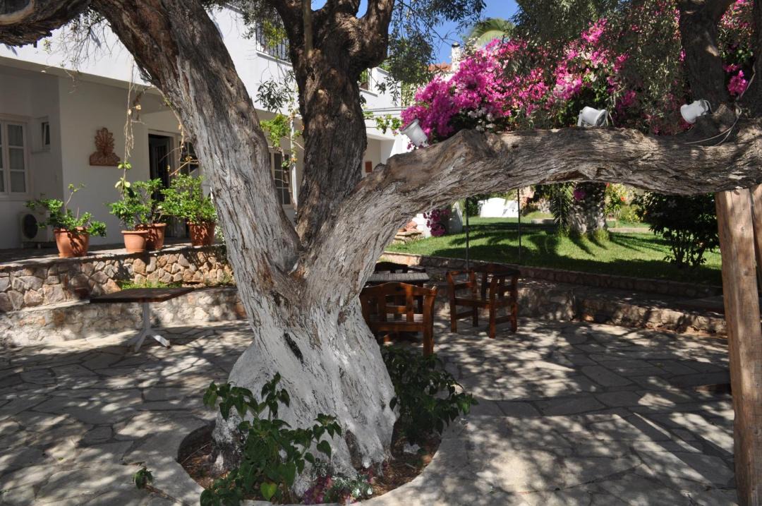 Photo of Others in Spetses