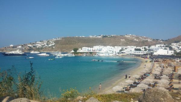 Photo of Others in Platis Gialos