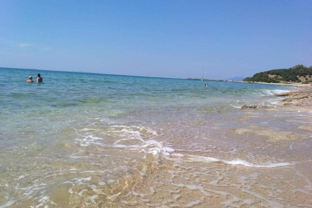 Photo of Others in Lygia