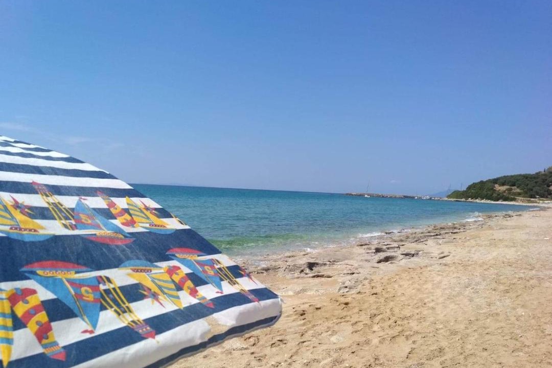 Photo of Others in Lygia