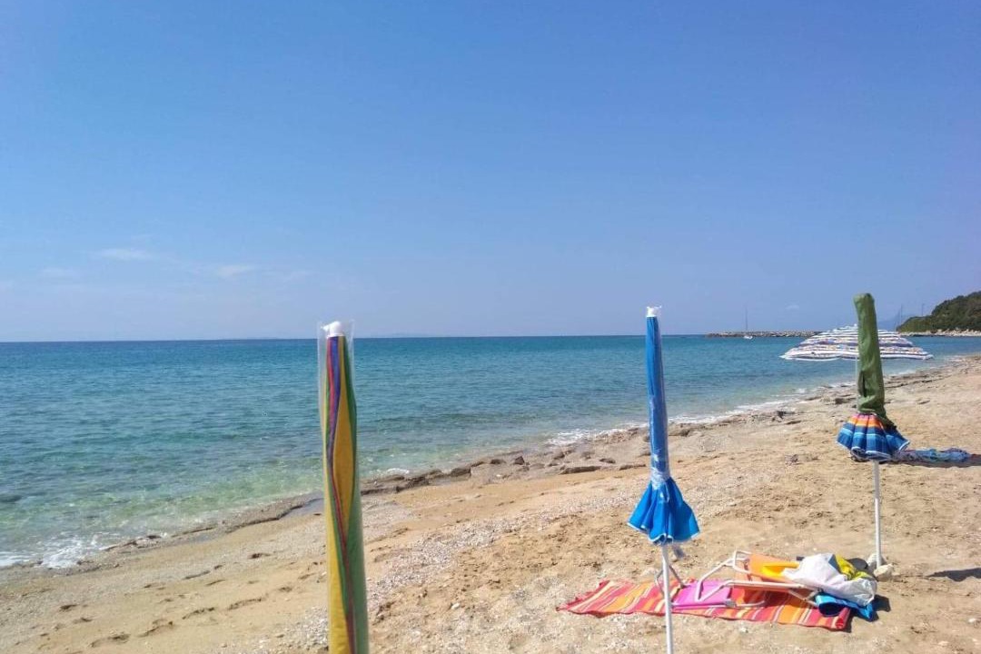 Photo of Others in Lygia