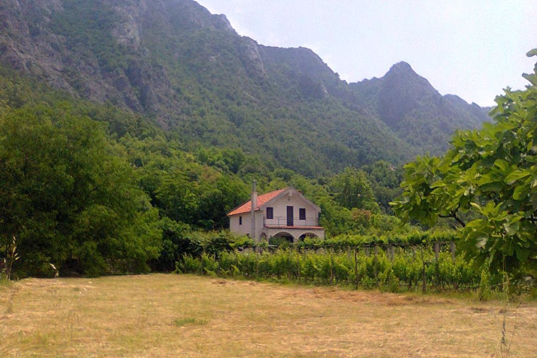 Photo of Others in Limljani