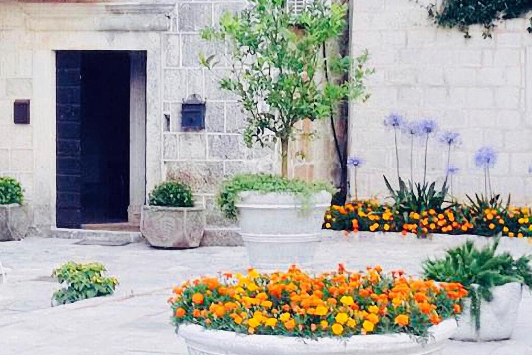Photo of Others in Perast