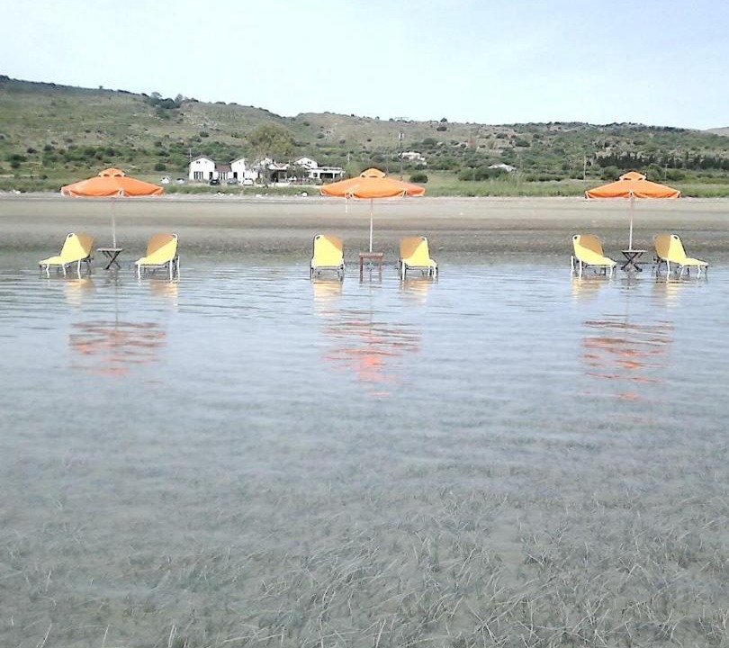 Photo of Others in Paliki