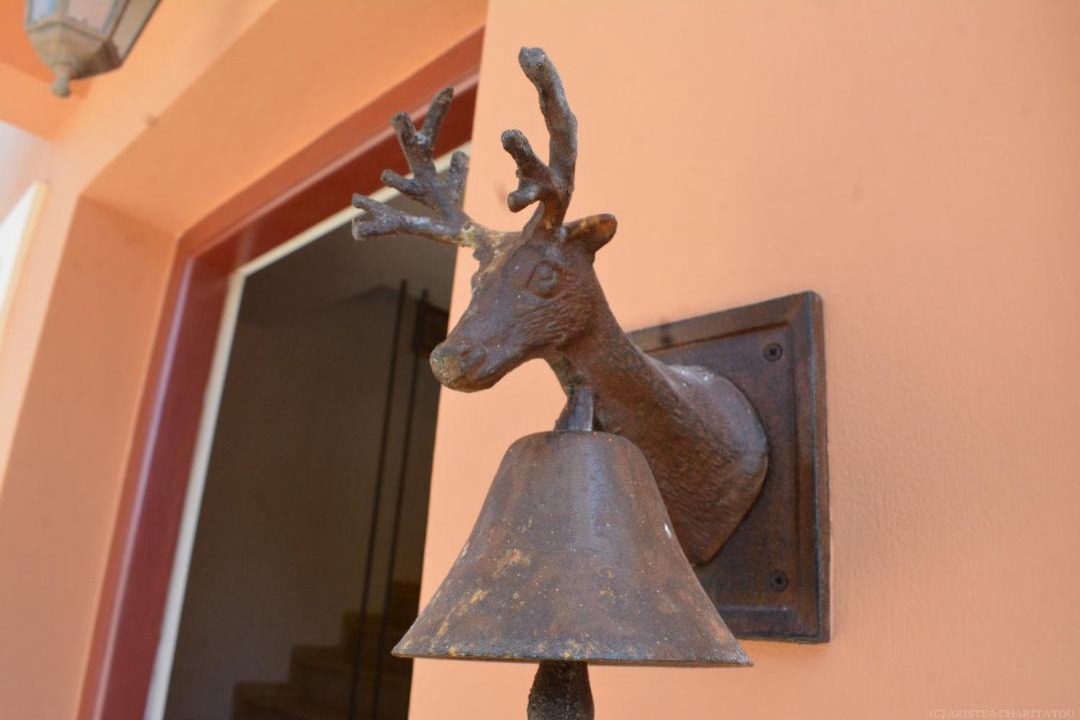 Photo of Others in Kounopetra