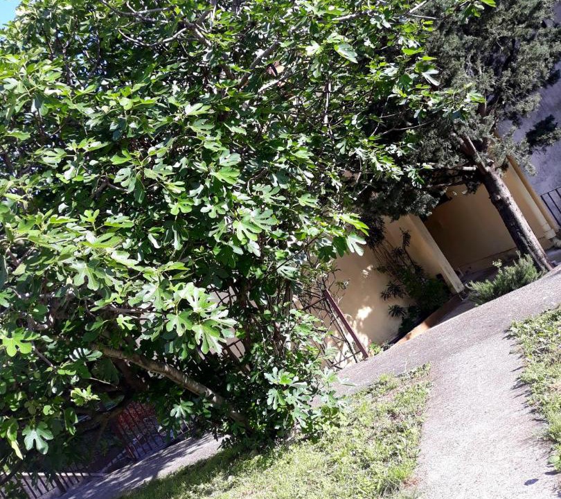 Photo of Others in Becici