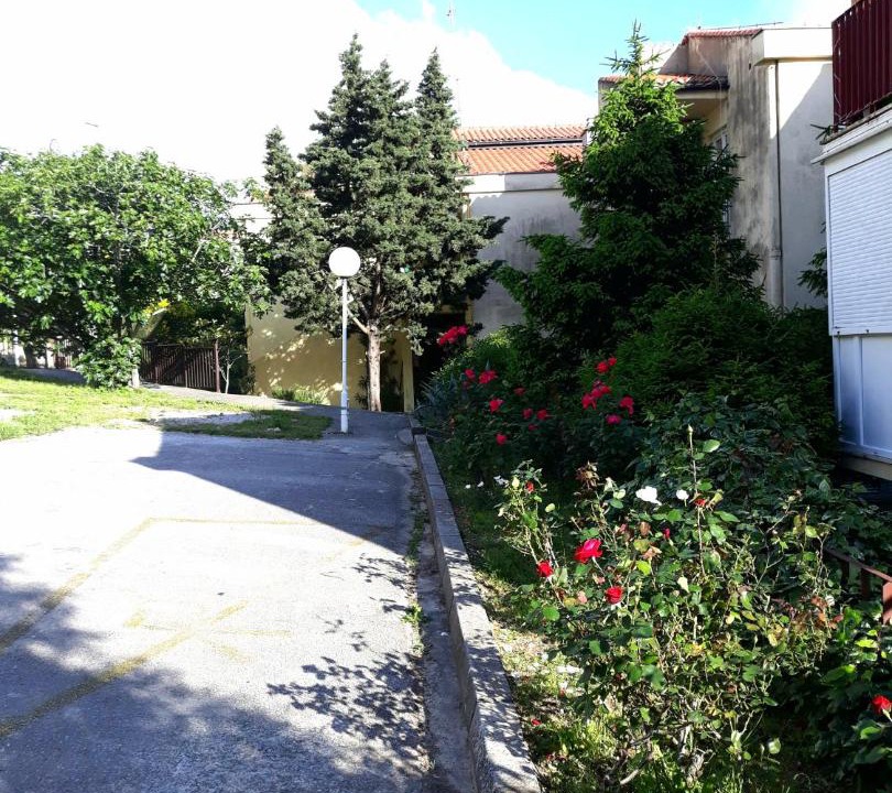 Photo of Others in Becici